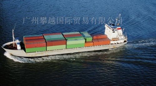 2025年2月外貿(mào)新規(guī)匯總 國際貨代行業(yè)風(fēng)向標(biāo)